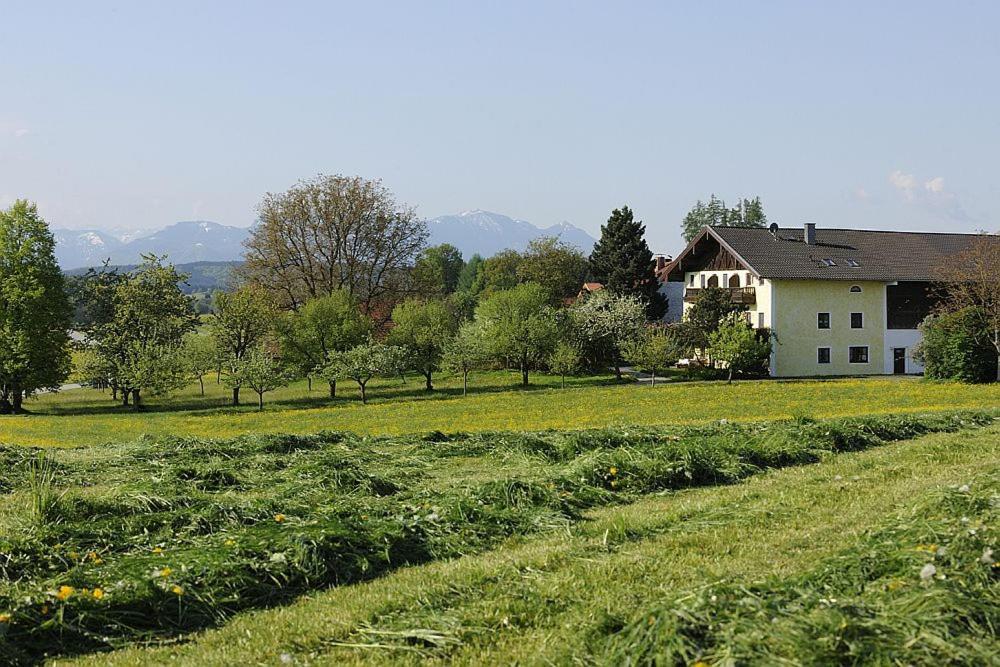 Apartmán Koellhof Höslwang Exteriér fotografie