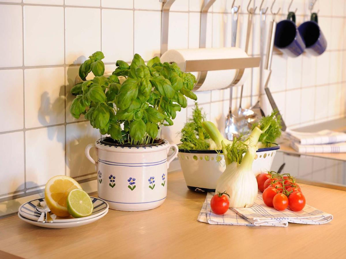 Apartmán Koellhof Höslwang Exteriér fotografie